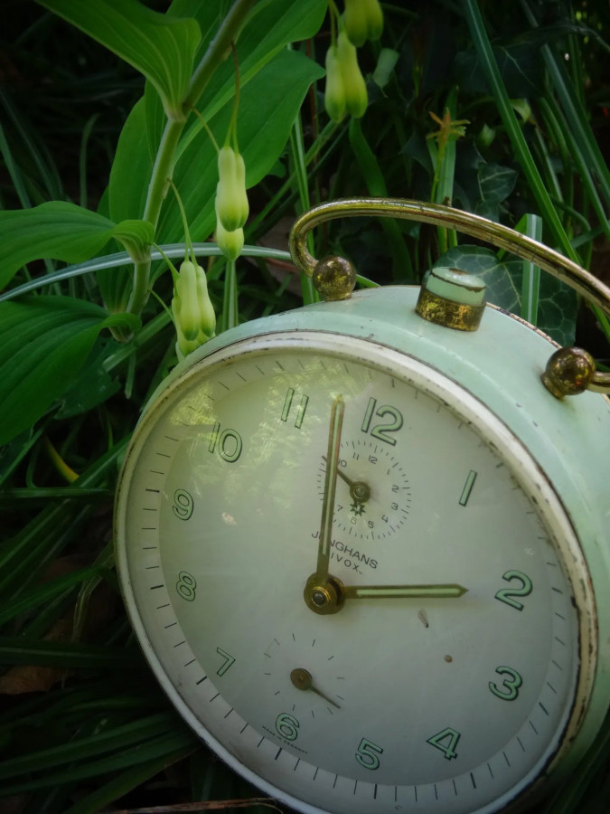 garden clock