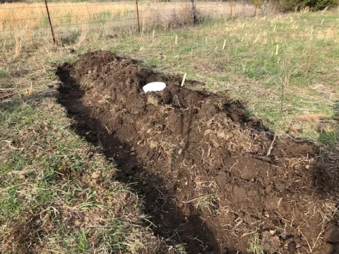 permaculture swale