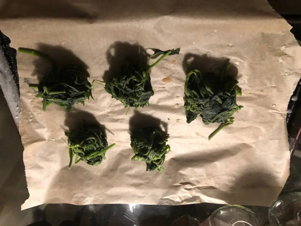 nettles after freezing