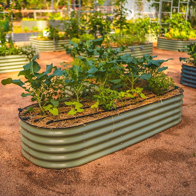 Modular metal raised bed