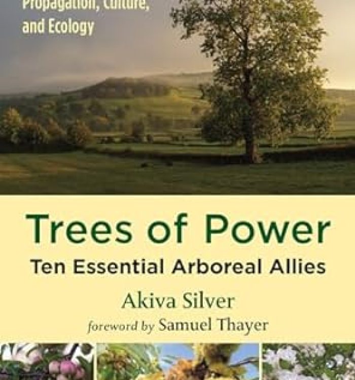 Trees of Power: Ten Essential Arboreal Allies – Akiva Silver