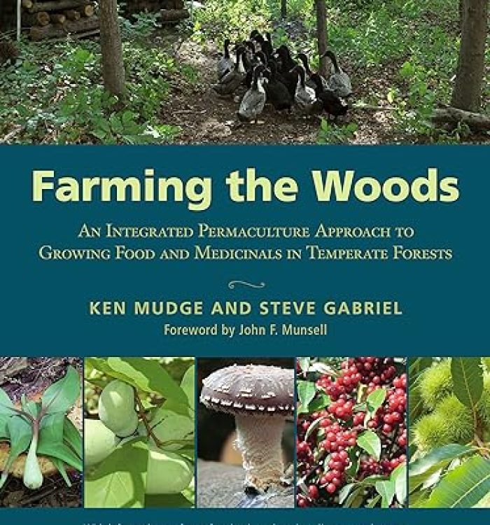 Farming the Woods: Incorporating the woods into your permaculture plan